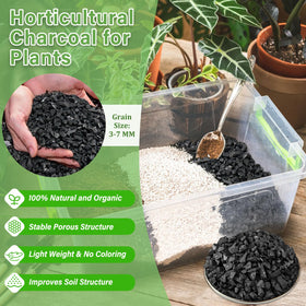 Legigo charcoal soil amendment application improves drainage and aeration in potted plants.