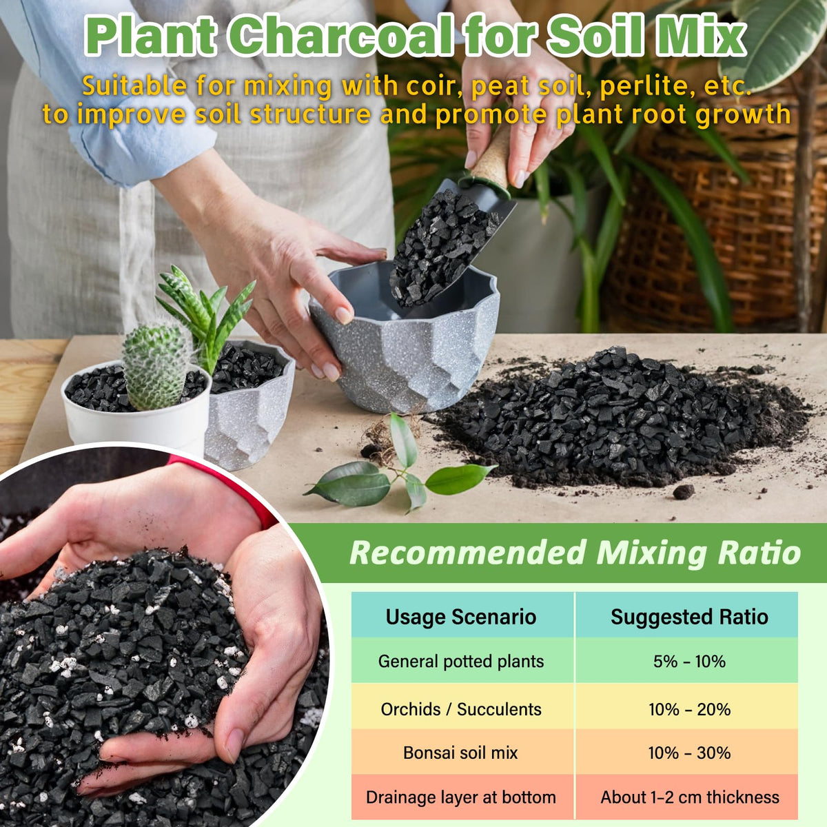 Legigo terrarium bottom layer charcoal enhances drainage and airflow for epiphytic plants.
