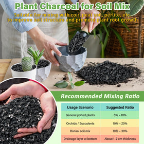 Legigo terrarium bottom layer charcoal enhances drainage and airflow for epiphytic plants.