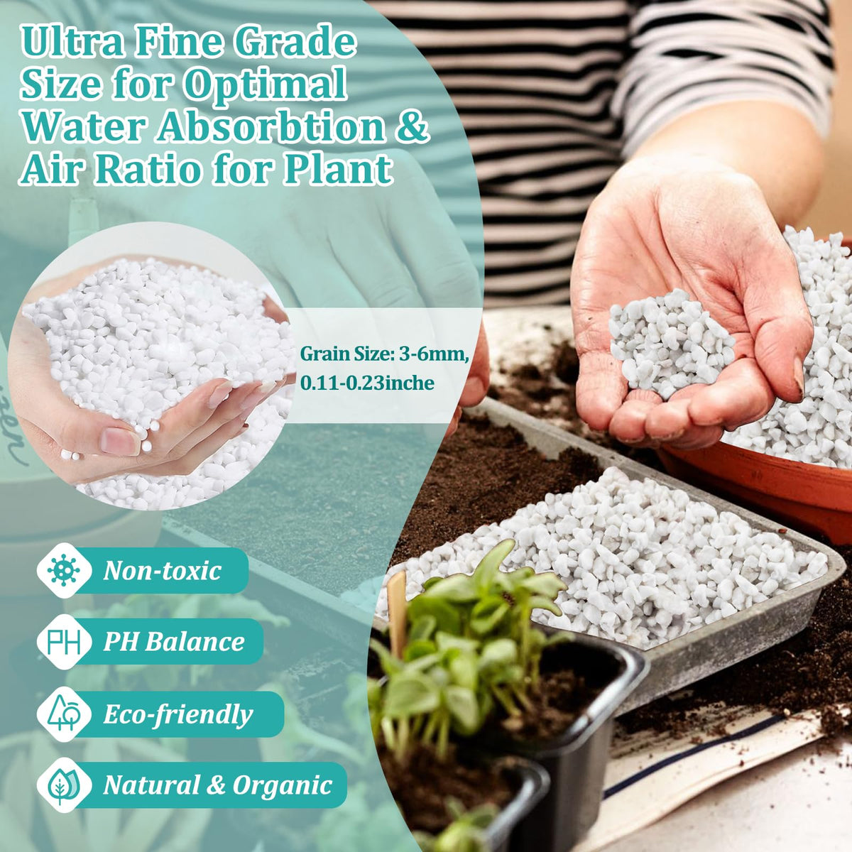 Legigo coarse perlite for soil aeration improving drainage in container plants.