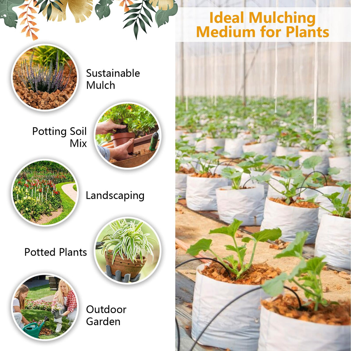 Legigo Coco Chips mulch reduces weeds and preserves soil moisture.