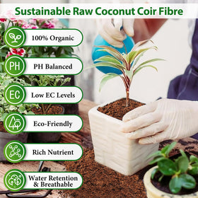 Legigo coco coir brick expands with water for easy soil setup