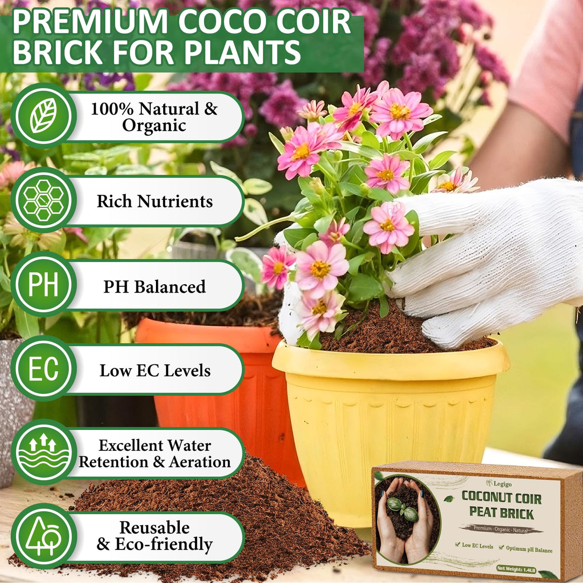 Legigo coco coir brick expands with water for planting