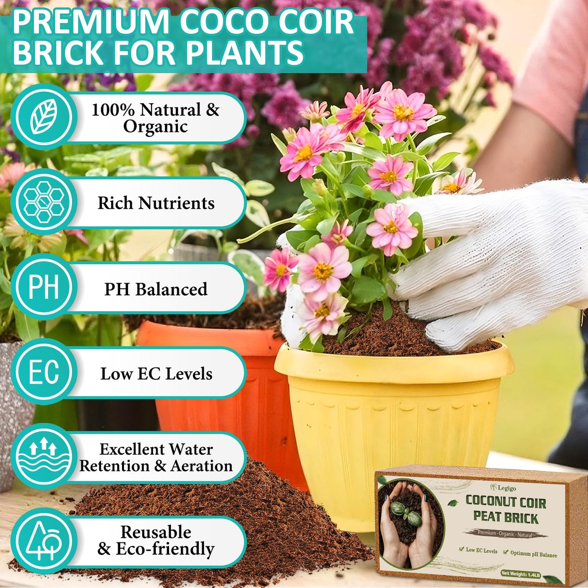 Legigo coco coir brick expands when watered for fluffy, well-draining soil.