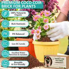 Legigo coco coir brick expands when watered for fluffy, well-draining soil.
