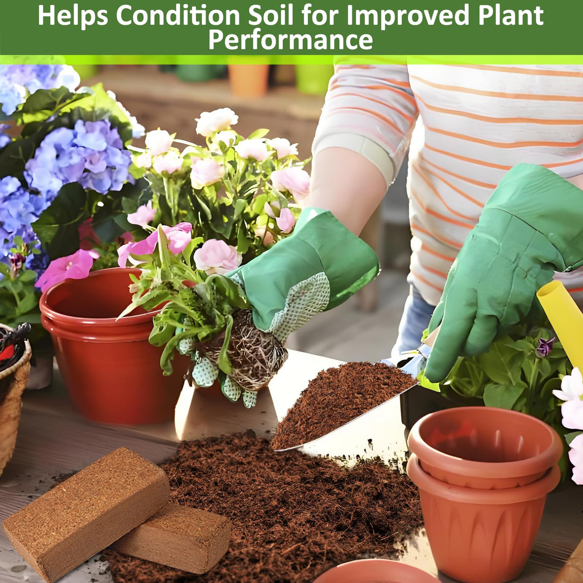 Legigo Coco Coir Brick ideal for microgreens in containers.