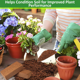 Legigo coco coir used as reptile bedding base for safe substrate.