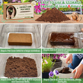 Seedlings in Legigo coco coir provide a strong root growth base.