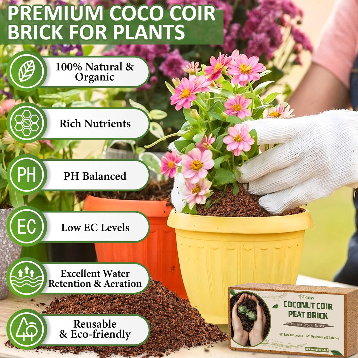Legigo Coco Coir Brick expanding in water to form fluffy planting medium.