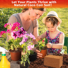 Legigo coco coir bricks ideal for containers and garden pots