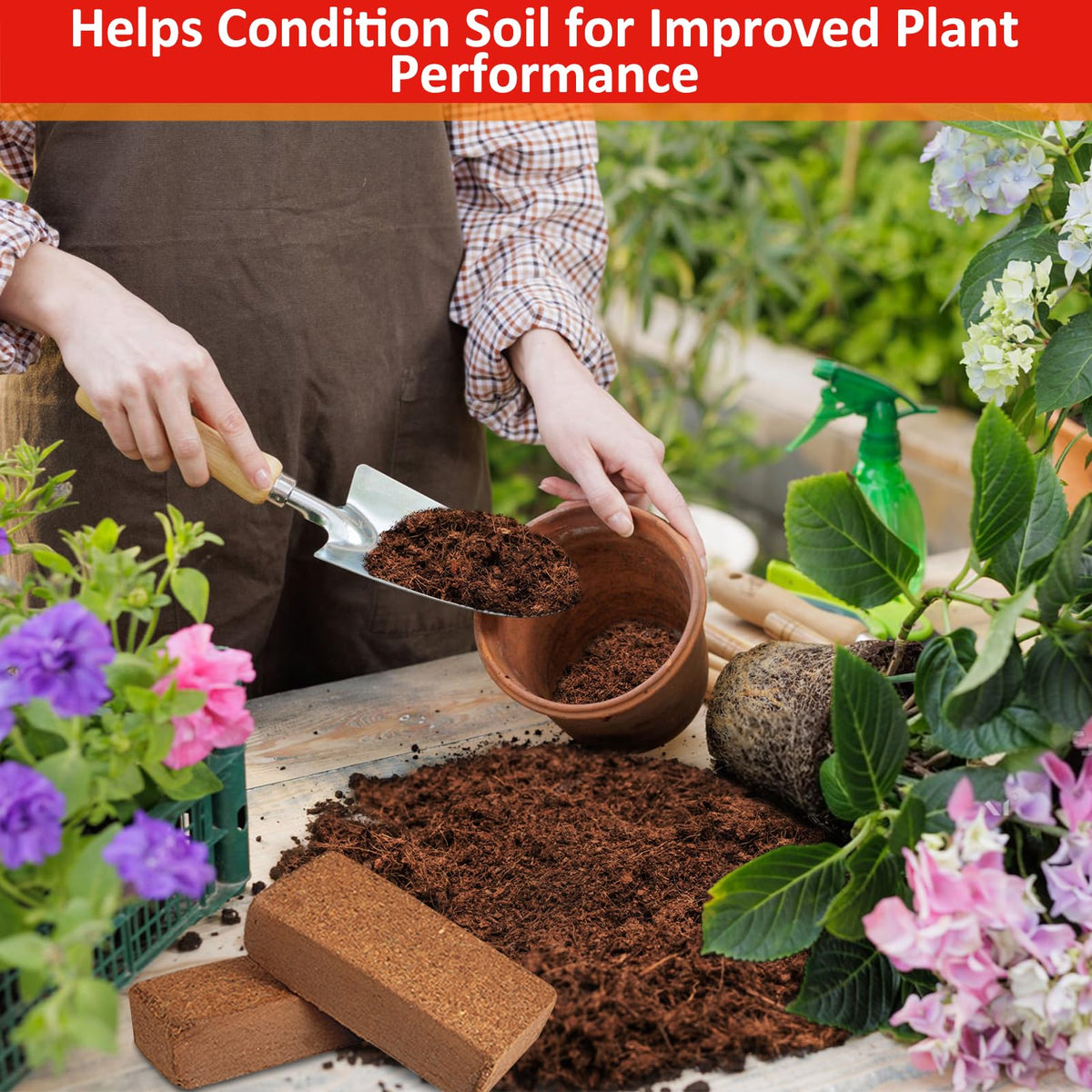 Legigo coco coir bricks eco friendly sustainable soil option