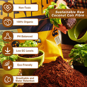 Legigo coco coir bricks expanding with water to form a fluffy seedling soil.