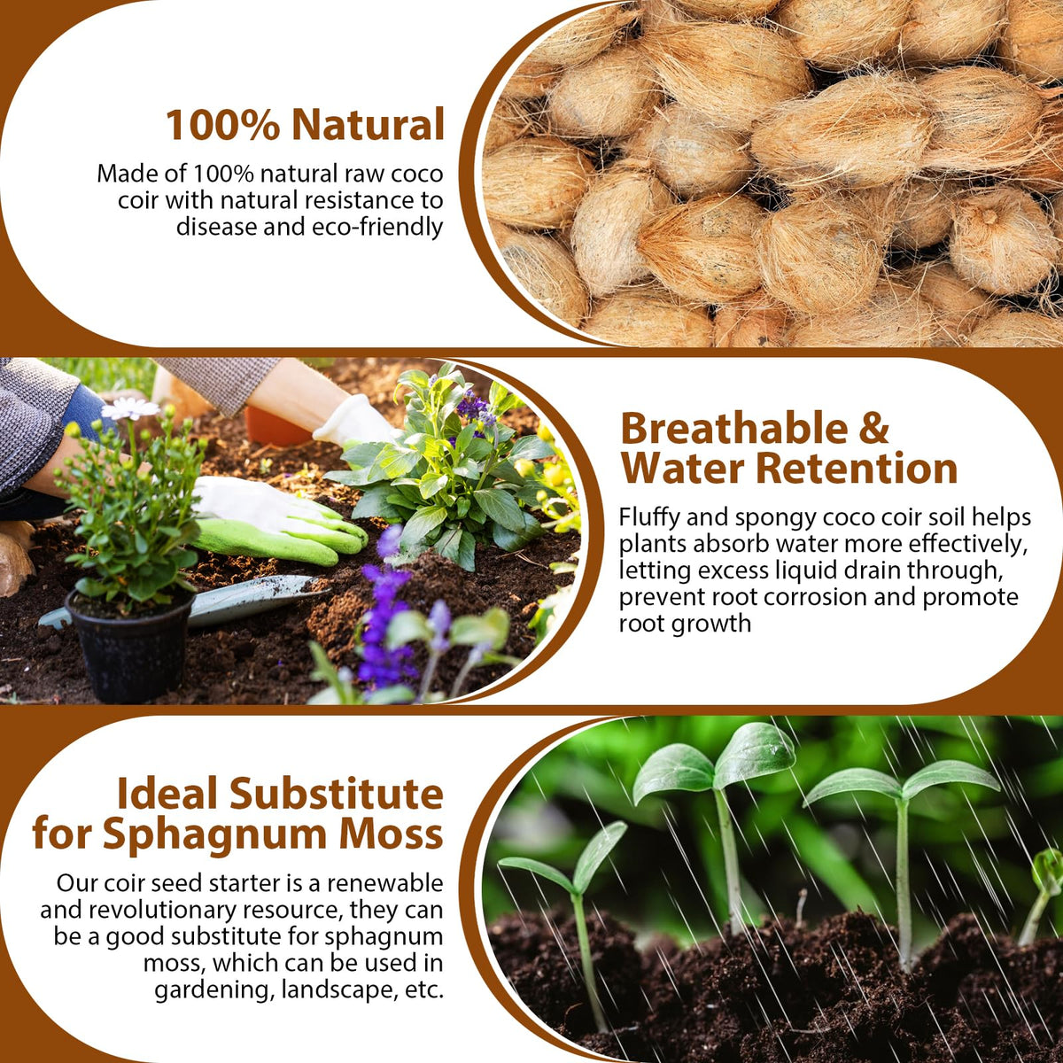 Legigo coco coir bricks ideal for herbs and flowers in pots and containers.