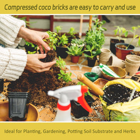Legigo coco coir bricks used for microgreens and container plants