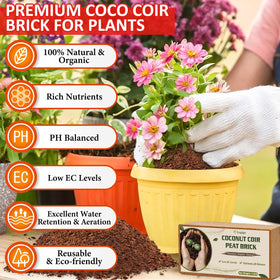 Legigo coco coir bricks expand when hydrated, maximizing water retention for plants