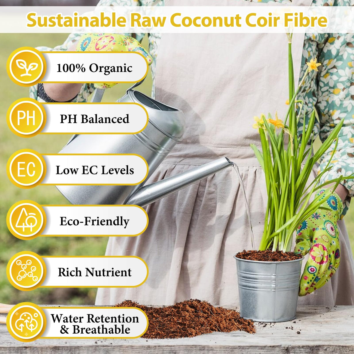 Legigo coco coir brick expands when hydrated for planting