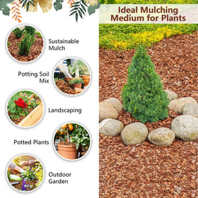 Legigo coco coir chips indoor garden setup with pots