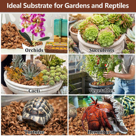 Legigo coco coir chips orchid substrate option for orchids