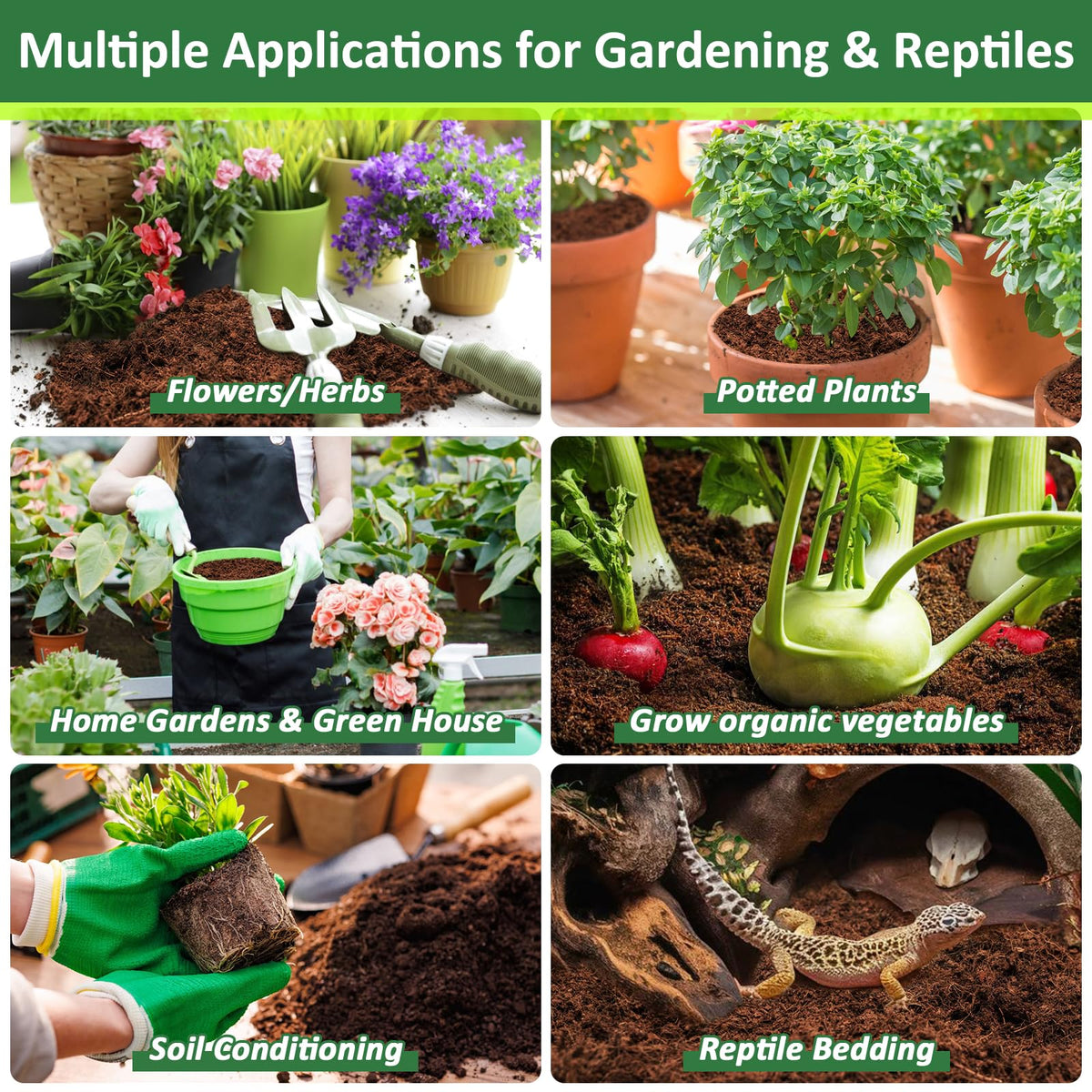 Legigo coco coir supports indoor container gardening