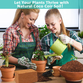 Legigo coco coir supports microgreens and container gardens with versatility.