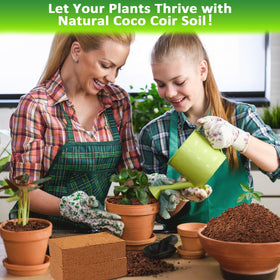 Legigo coco coir supports microgreens and container garden setups.