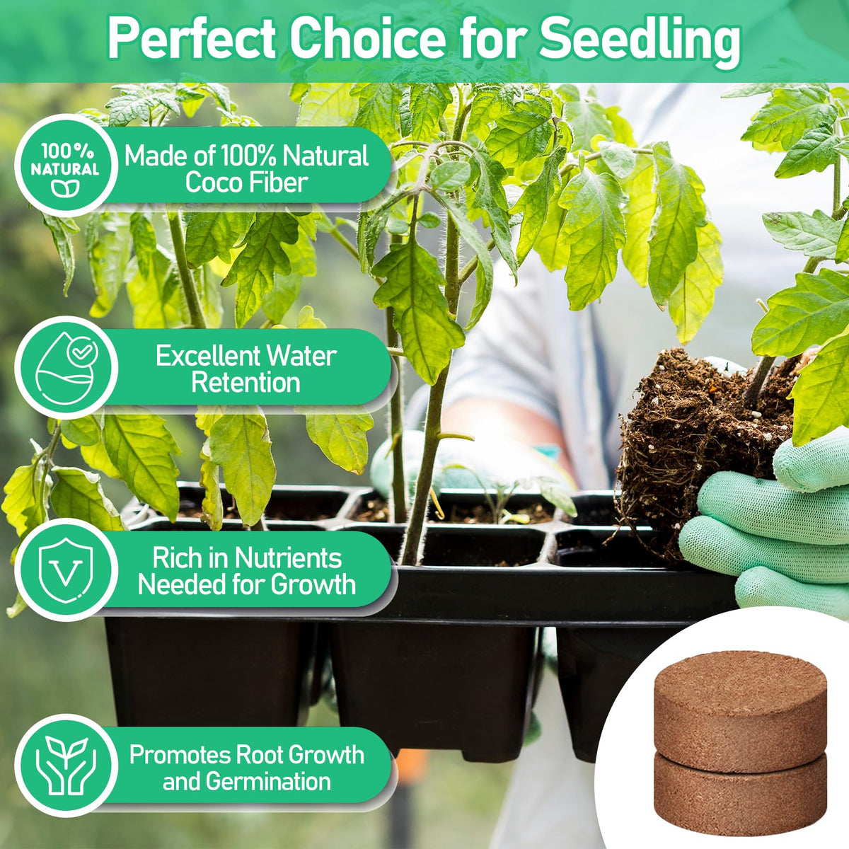 Legigo coco coir pellet aeration texture promotes healthy root growth