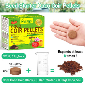 Legigo coco coir pellet swelling demonstrates easy expansion before planting