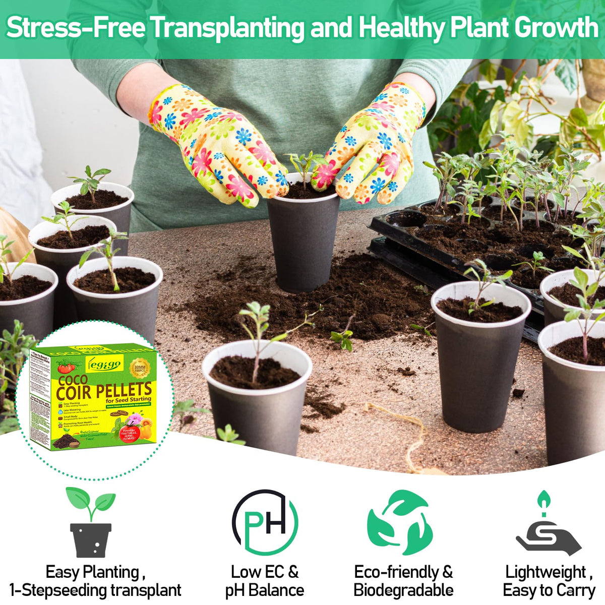 Legigo coco coir pellet transplant-ready form simplifies container gardening