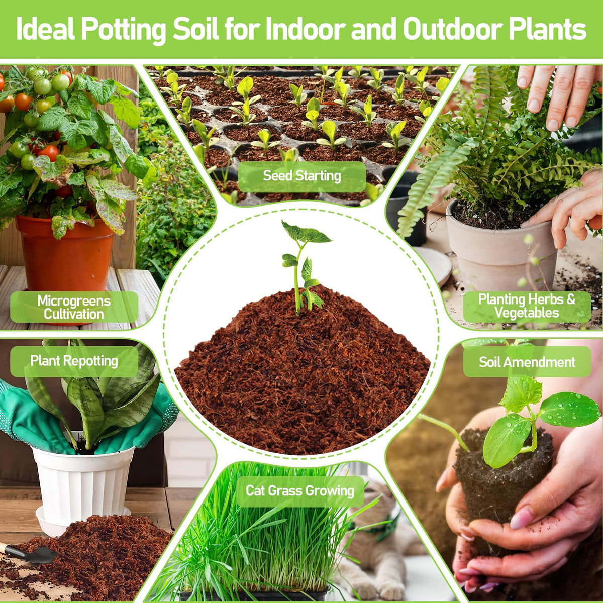 Legigo coco coir pellets storage-compact blocks save space and organize your kit