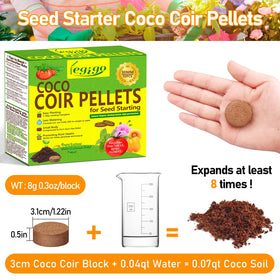Swollen Legigo coconut coir pellet absorbing water for plants