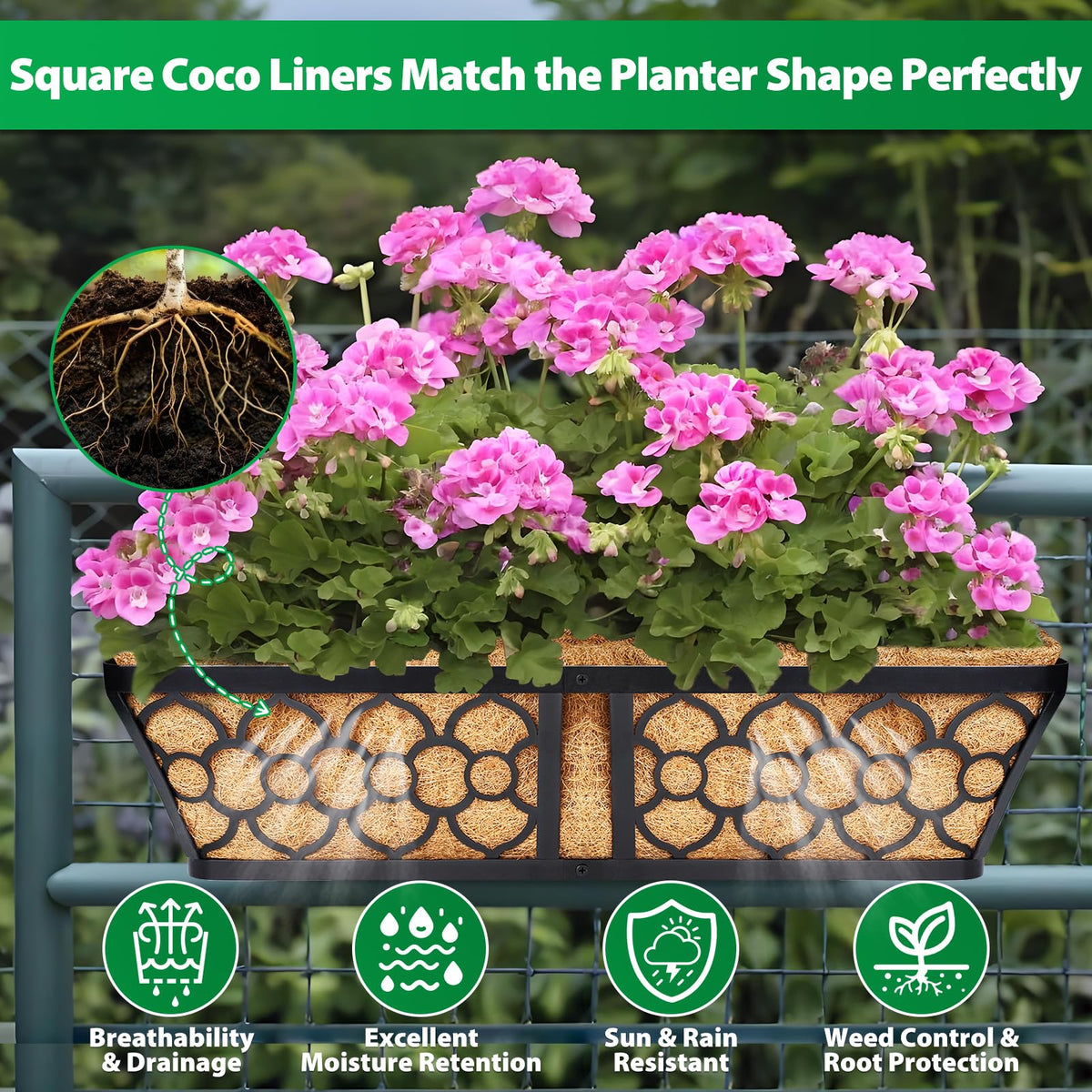 Legigo coconut fiber liner shown with soil and visible roots for sturdy support.