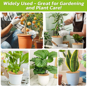 Legigo coconut fiber ring enhancing outdoor and indoor plant decor