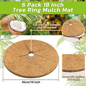 Legigo mulch ring protecting plant trunks and suppressing weeds
