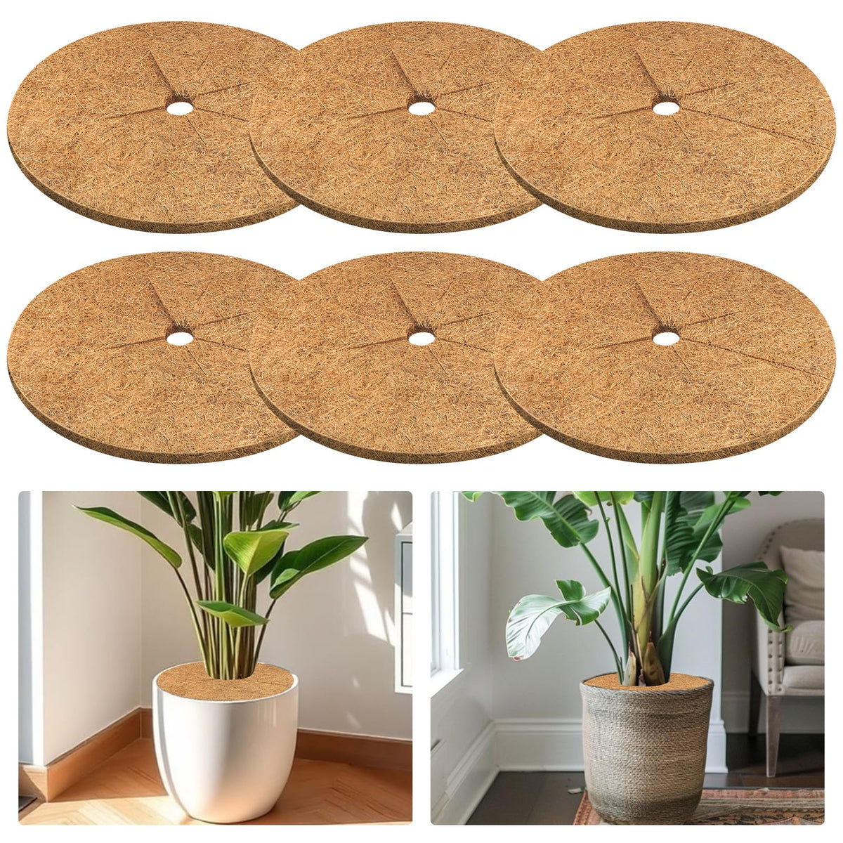 Legigo coconut fiber mulch ring around a tree trunk for moisture balance