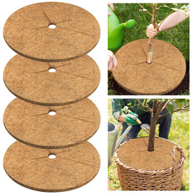 Legigo coconut mulch ring around a 30-inch tree, enhancing soil moisture retention and weed suppression.