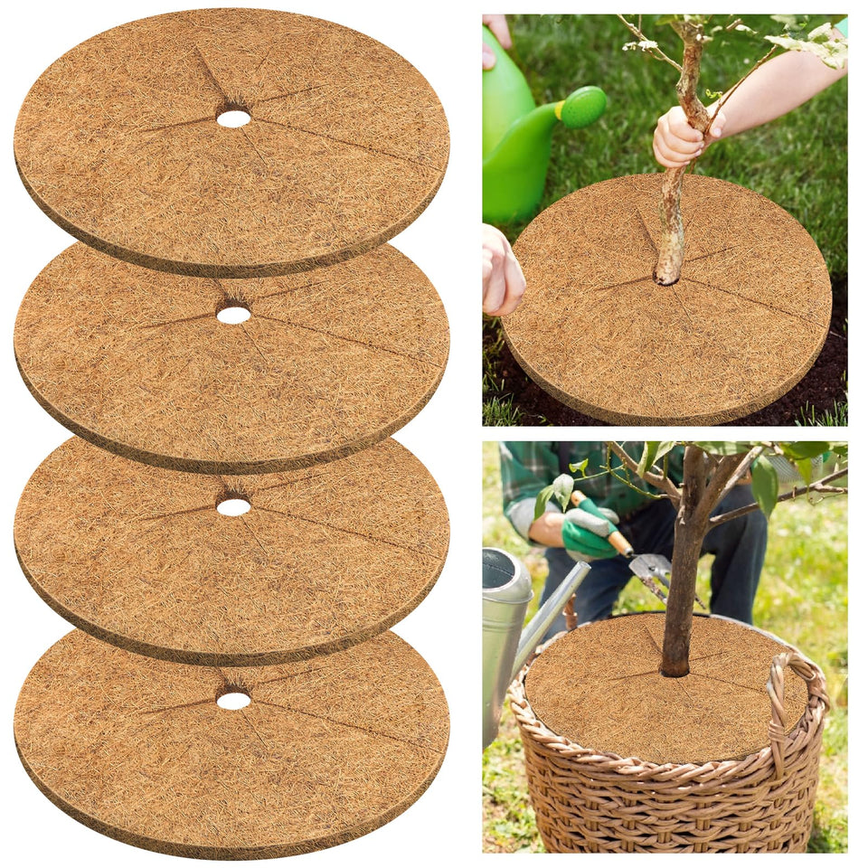 Legigo coconut mulch ring around a 30-inch tree, enhancing soil moisture retention and weed suppression.