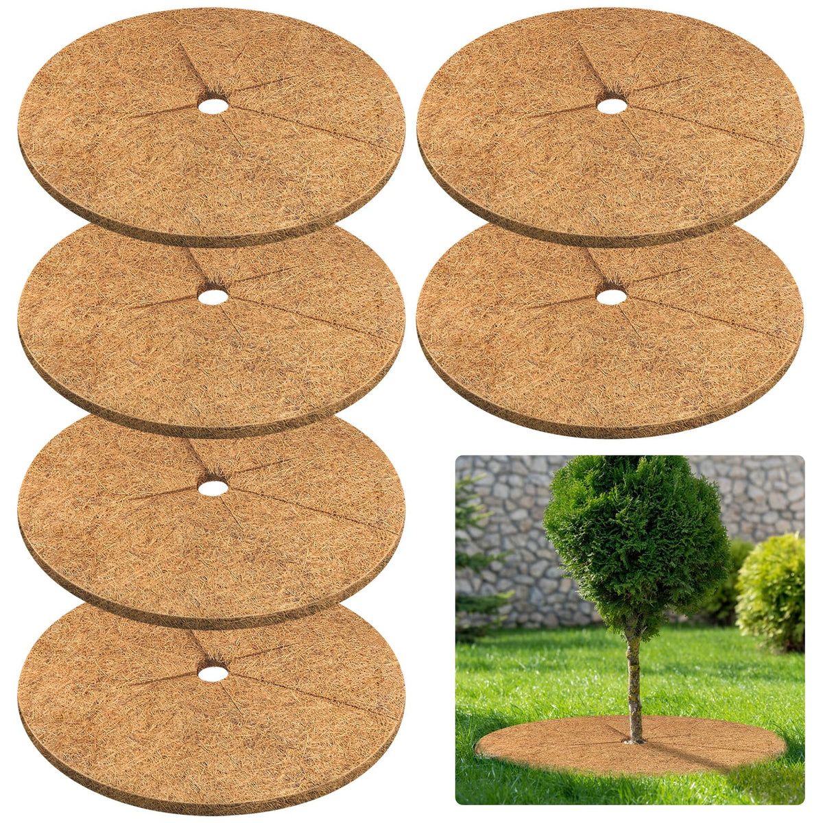 Legigo coconut fiber tree ring closeup shows a durable mulch barrier retaining moisture.