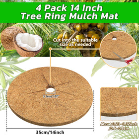 Legigo coir tree ring protector around a trunk for indoor and outdoor use.