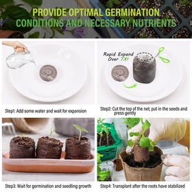 Legigo compact seed starter discs cutting mess and simplifying seeding