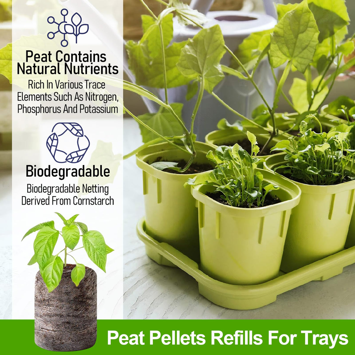 Legigo compact dry seedling pod showing tidy storage and tray compatibility.