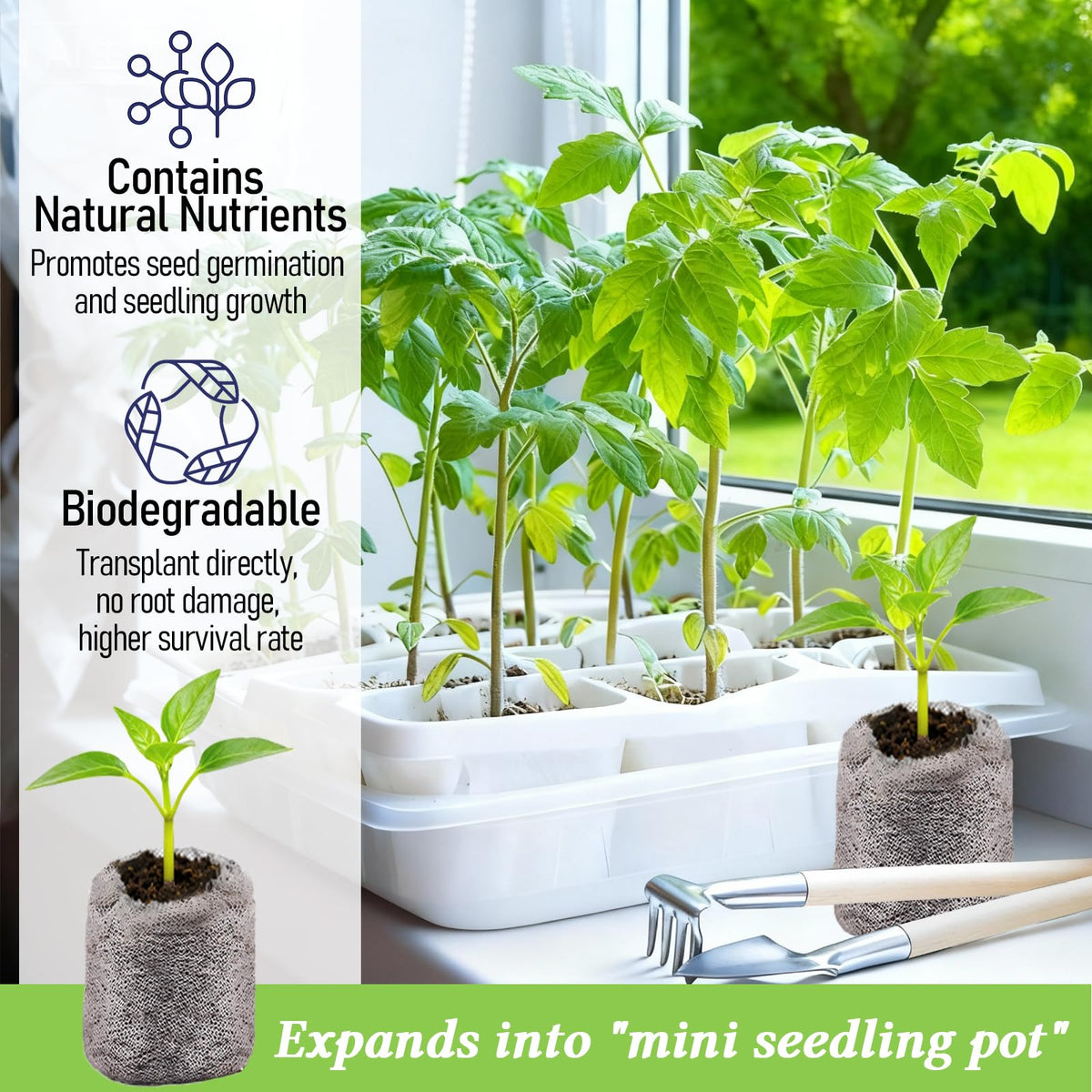 Legigo compact pods reduce transplant shock during garden setup.