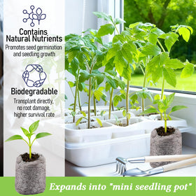 Legigo compact pods reduce transplant shock during garden setup.