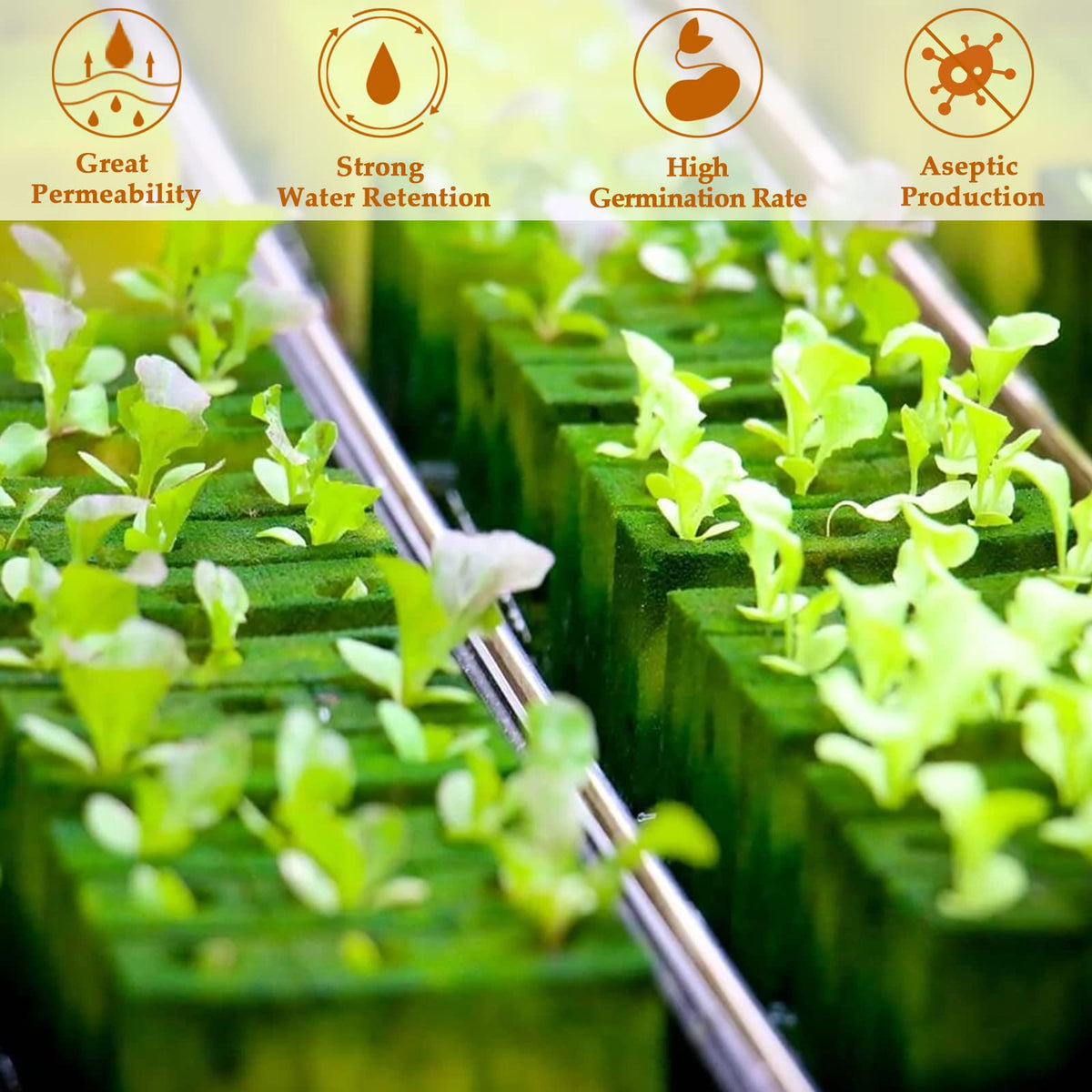 Legigo cutting propagation plugs show cloning-ready design for easy rooting.