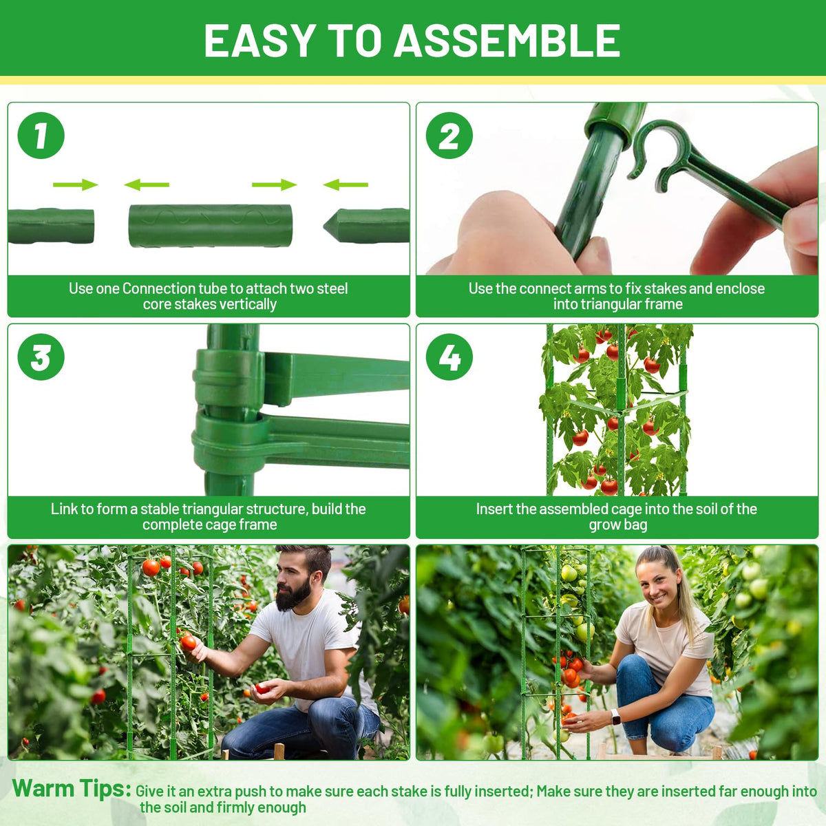 Legigo double-support design stabilizes tall tomato plants