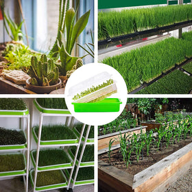Legigo durable, food-grade plastic trays for repeated seed sprouting in kitchens or balconies.