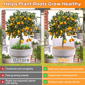 Legigo natural coconut fiber provides durable, plant protection.