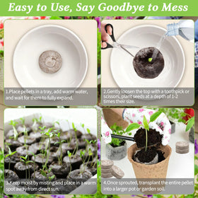 Legigo seed-starting pods in trays simplify planting.