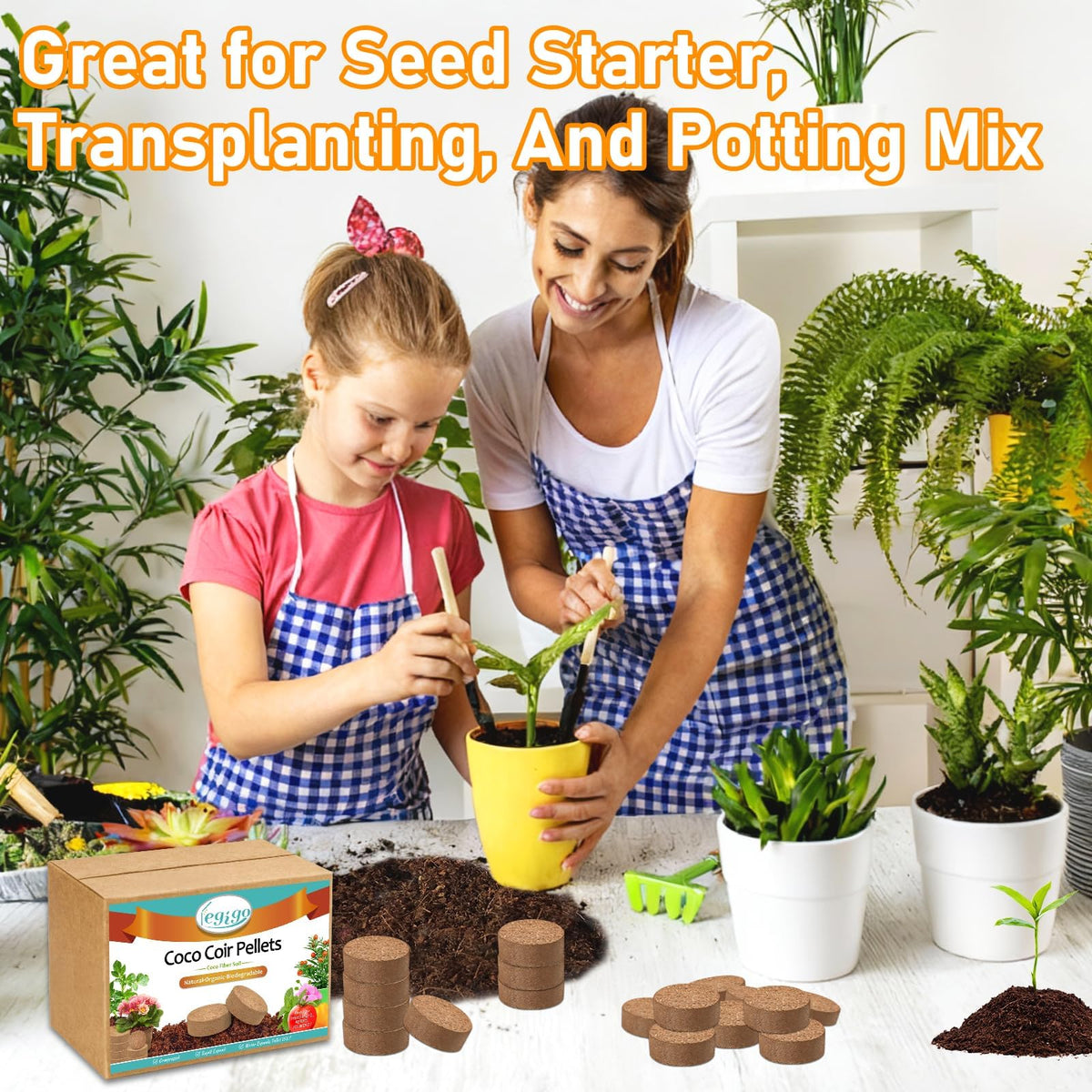 Legigo easy-to-use seedling trays with coco pellets
