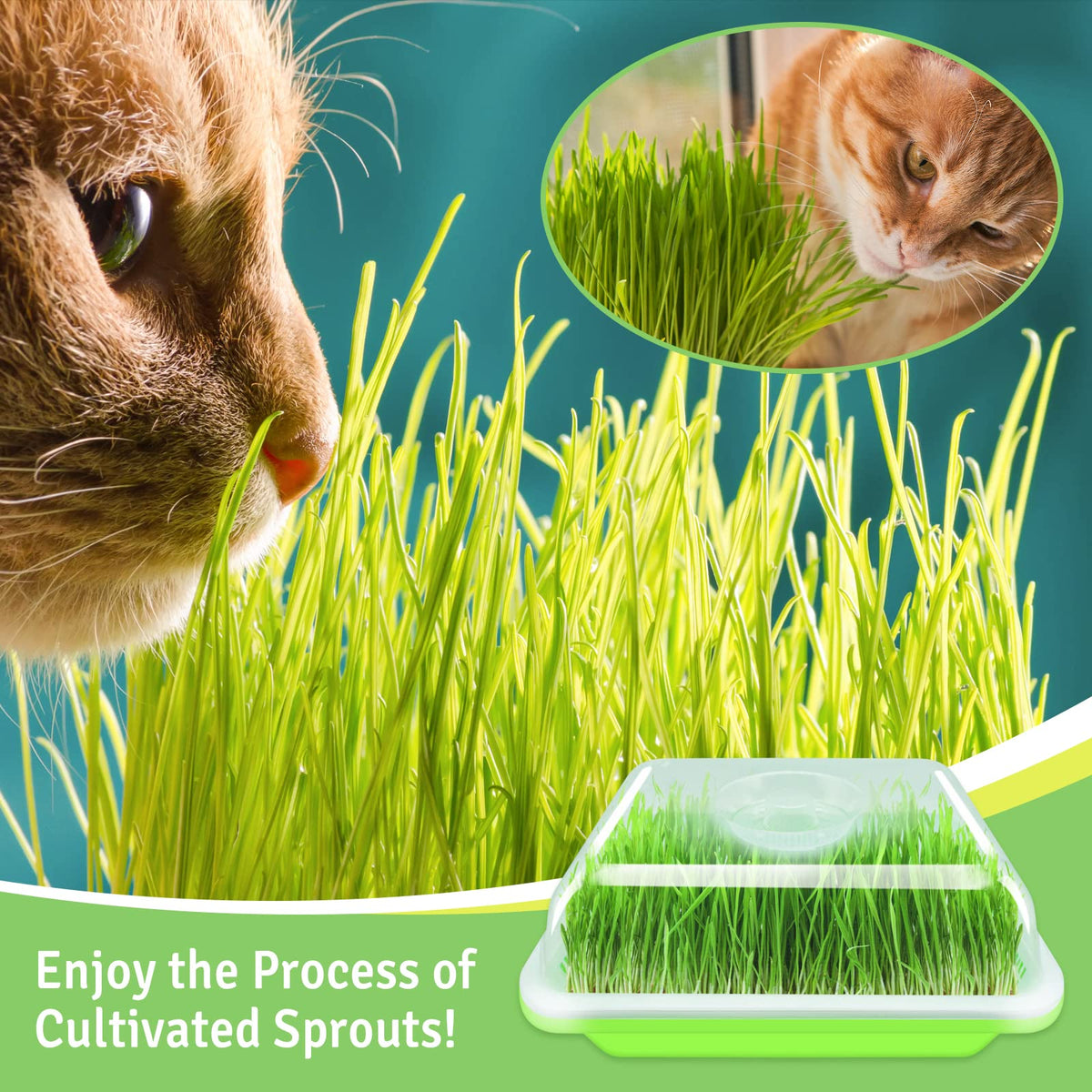 Legigo easy-use concave-convex design simplifies lid removal and airflow