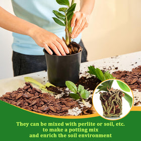 Legigo epiphytic orchids bark usage suitable for Cattleya Phalaenopsis and Dendrobium.